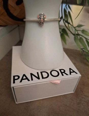 Charm Rémy du Disney Ratatouille 