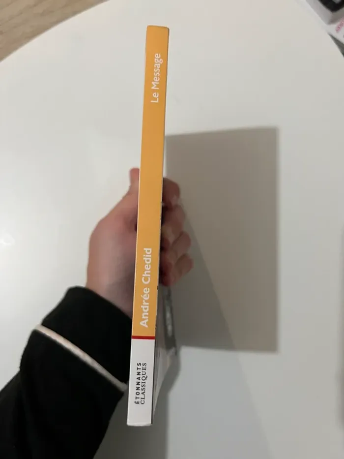 Livre Le Message, Andrée Chedid - photo numéro 3