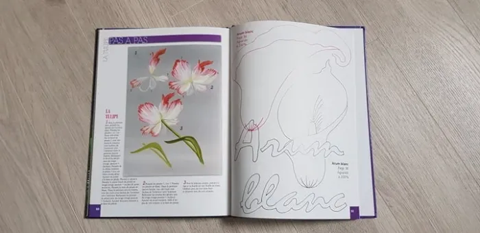 Livre "Les châssis fleuris" pour apprendre à peindre - photo numéro 4