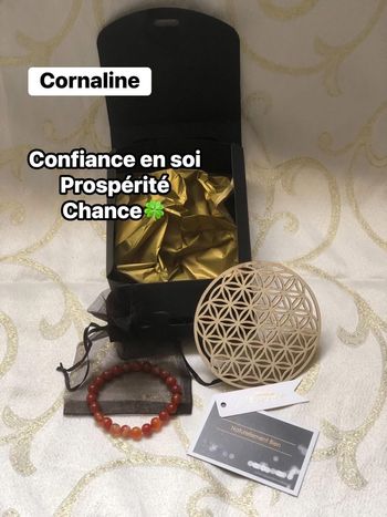 Coffret cadeau lithotherapie cornaline + disque énergétique