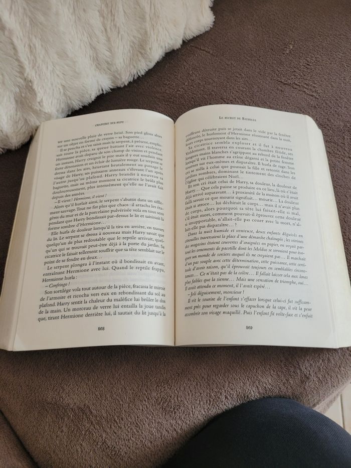 Livre Harry Potter - photo numéro 5