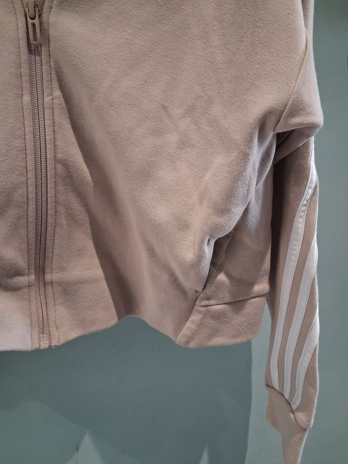 Veste - photo numéro 4