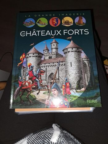 Les chateaux forts
