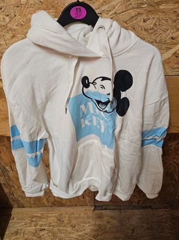 Sweat disney mickey