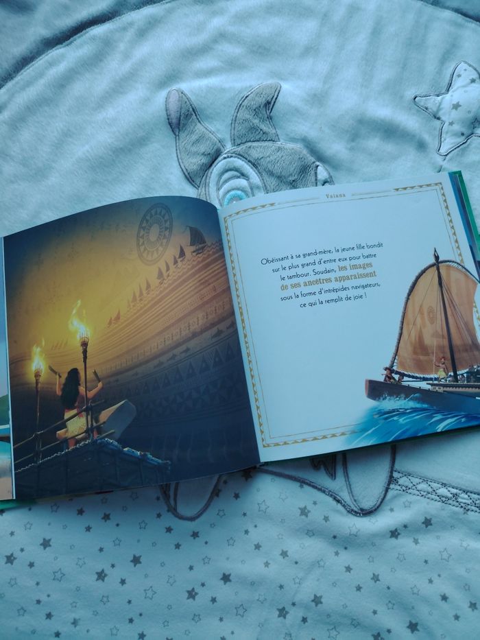 Livre Vaiana - photo numéro 2