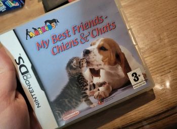 Jeu ds chiens et chats