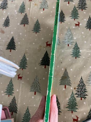 Pumba fait une fugue 