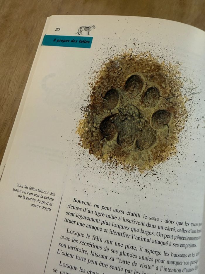 Bibliothèque du naturaliste encyclopédie livre rare Les félins Robert Dallet panthères wwf - photo numéro 4