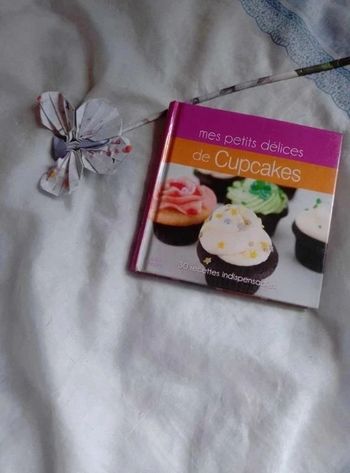 Livre de recettes Mes petits délice cupcakes