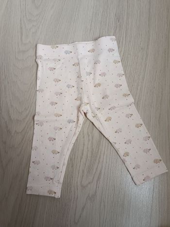 Legging hérisson
