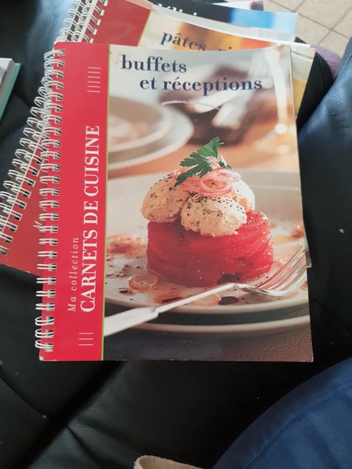 Lot de 12 livres '' Ma collection carnet de cuisine "