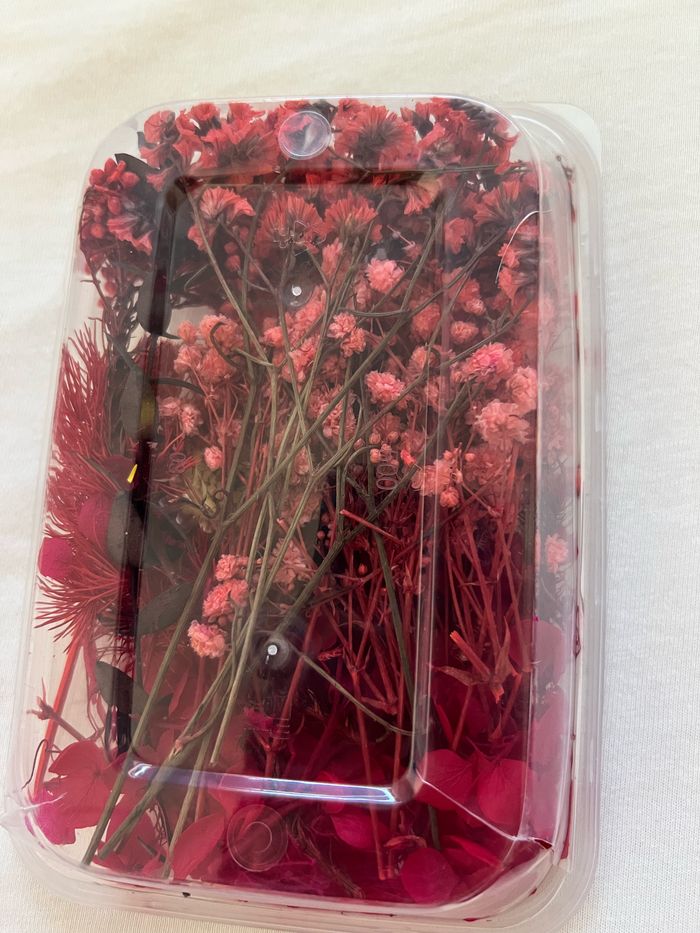 Fleurs séchées - photo numéro 3