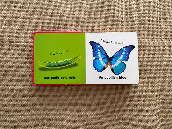 Livre les couleur à toucher Langue au Chat d'occasion - photo numéro 2