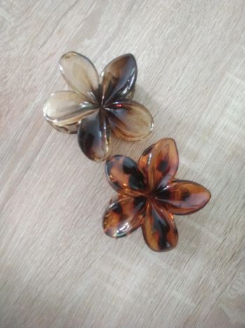 Deux pinces fleurs
