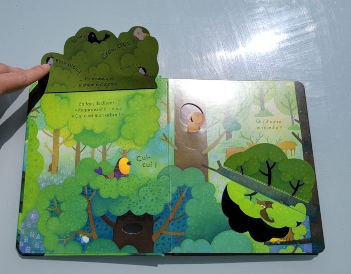 Usborne, livre collection coucou 🌲 Coucou! La Forêt 🍁 - photo numéro 3