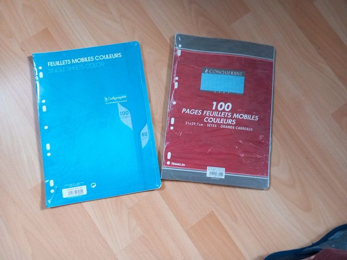 Feuilles simples grand format bleu - photo numéro 4