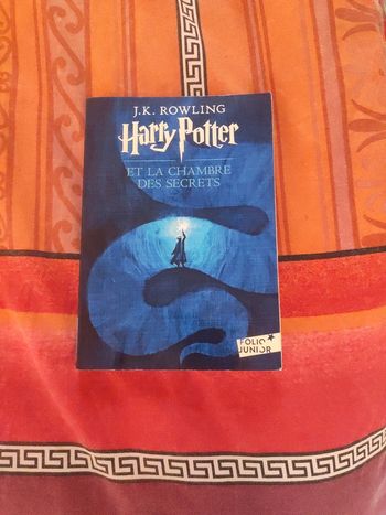 Livre Harry Potter la chambre des secrets