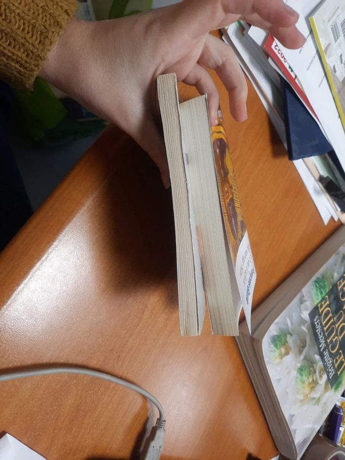 L'esclave Marie l'archer et sauvage blanc - photo numéro 9