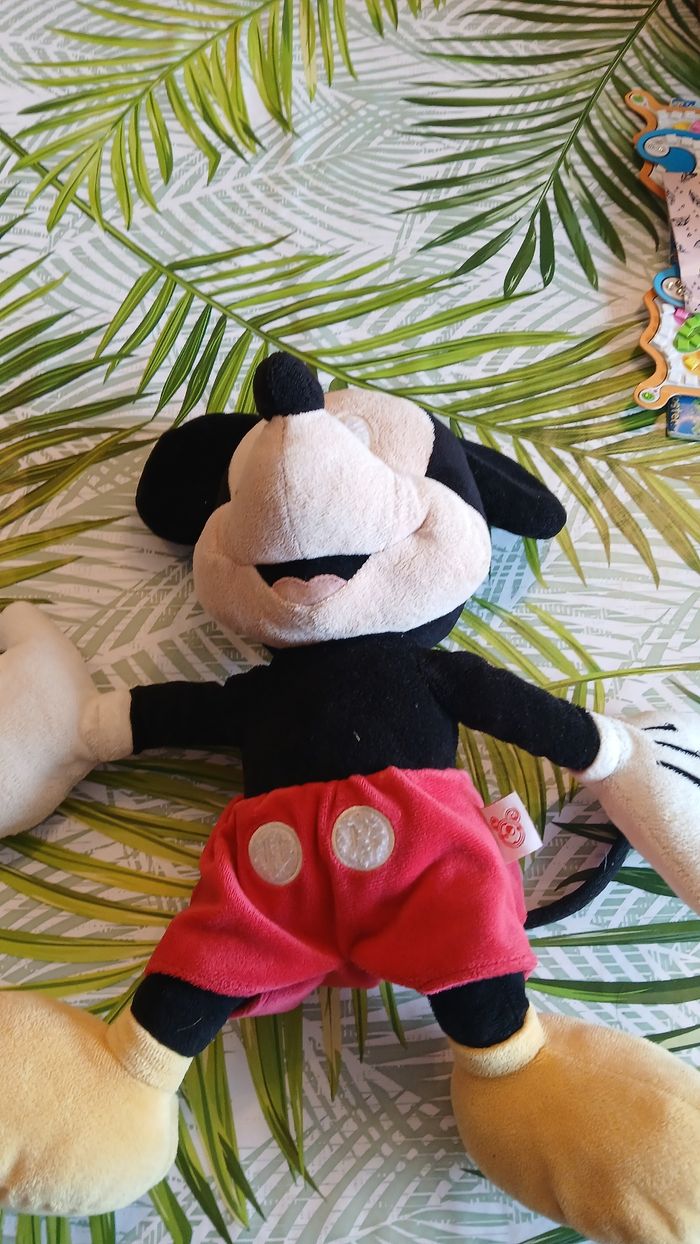 Mickey - photo numéro 5