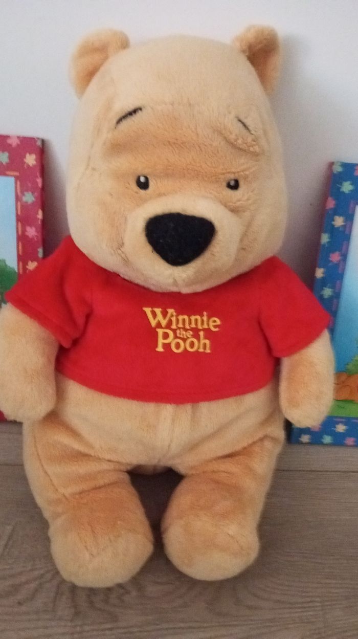 Peluche Winnie l'ourson et 2 livres - photo numéro 2