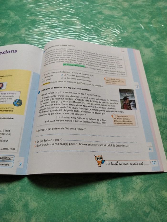 Mini chouette - photo numéro 10