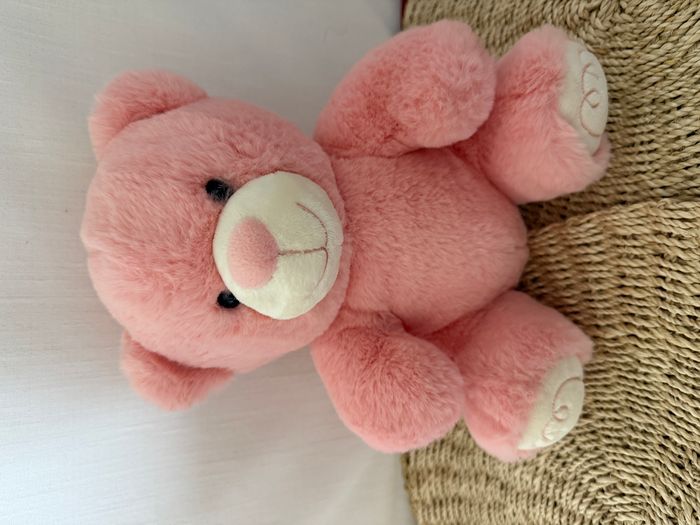Ourson My sweet teddy rose - photo numéro 5