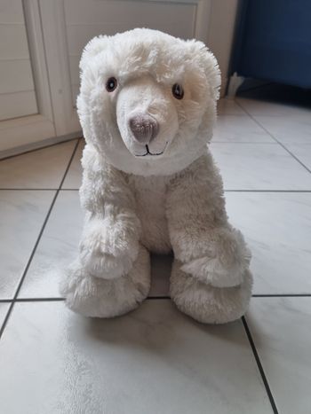Peluche Ours Blanc