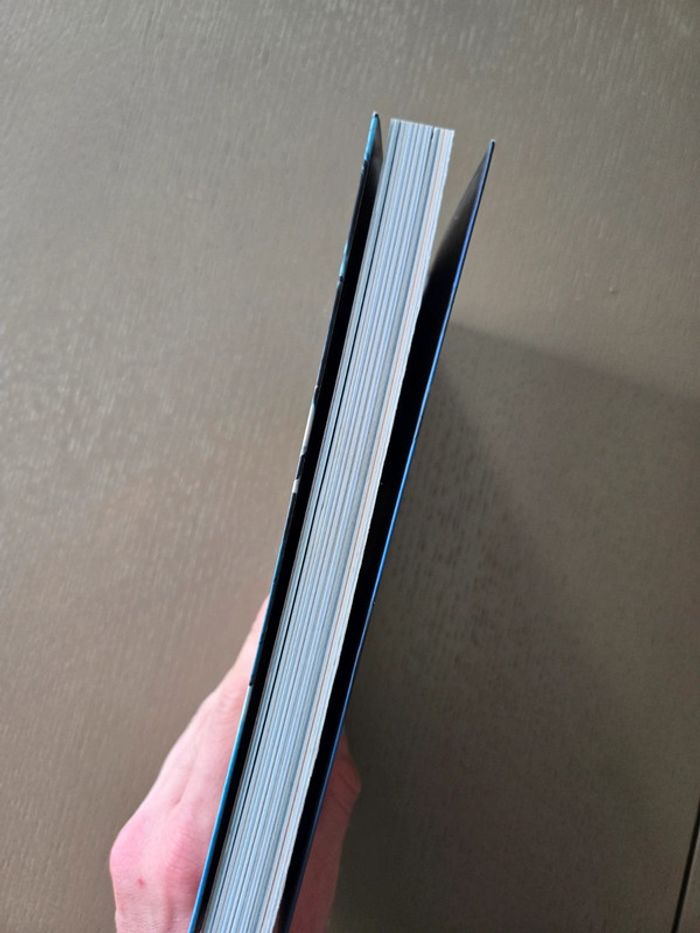 Solo leveling - photo numéro 2