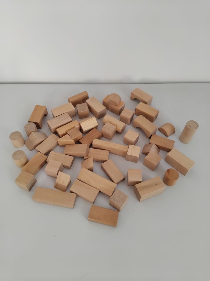 Blocs de Construction en Bois Lot 50 Pièces