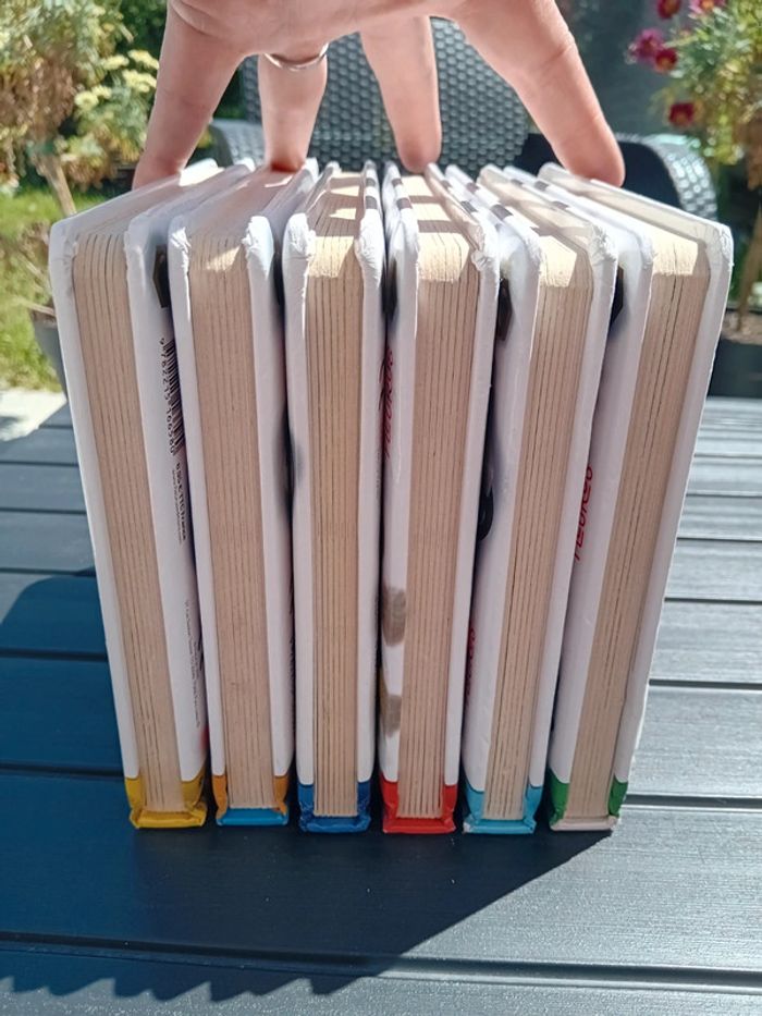 Lot de 5 livres P'tit Garçon tbe + 1 offert - photo numéro 12
