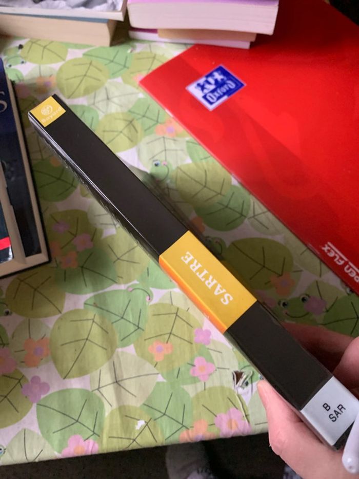 Sartre - photo numéro 3