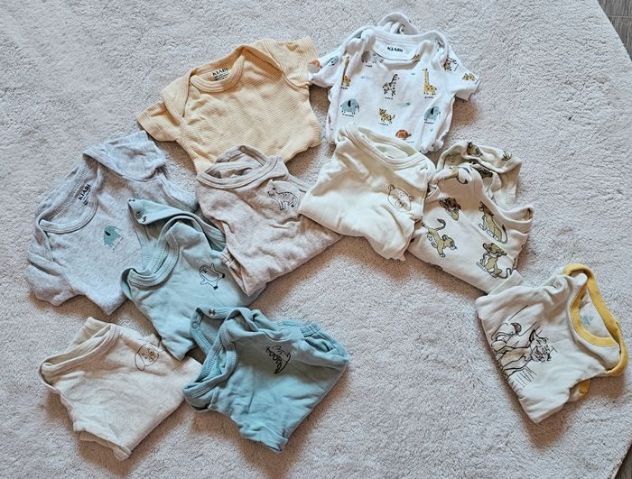 Lots bodies