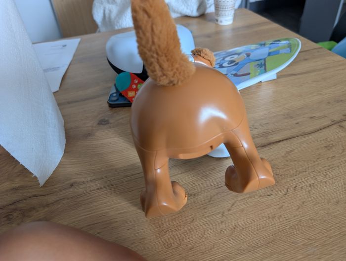 Chiot rampe avec moi Fisher price - photo numéro 3