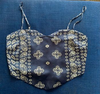 Haut stradivarius L