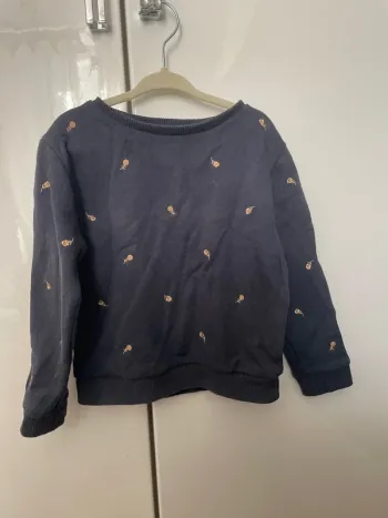 Sweat Frangin Frangine 4 ans