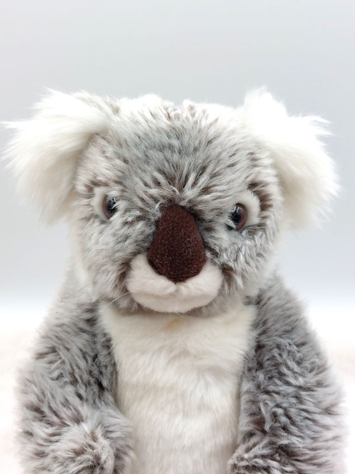 Vintage peluche koala gris blanc marron WWF 1986 World wide Fund 24 cm doudou - photo numéro 2