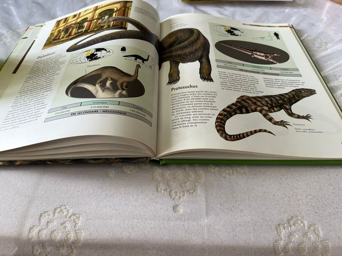 Livre le savoir compact. Les dinosaures - photo numéro 4