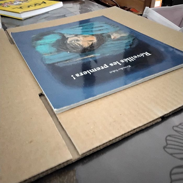 Réveillés les premiers Komako SAKAI - photo numéro 2