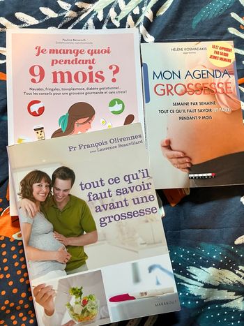 Lot de livres grossesse 