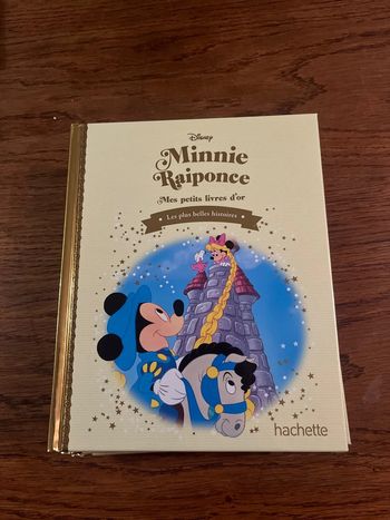 Livre d’or Minnie raiponce