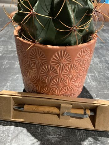Jolie stylo à offrir