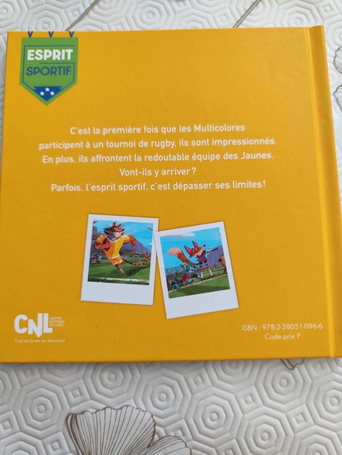 Le match de rugby - photo numéro 2