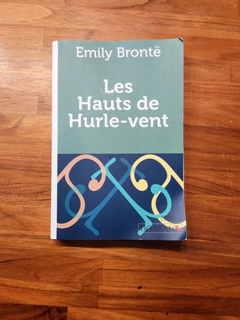 Livre les hauts de hurle vent
