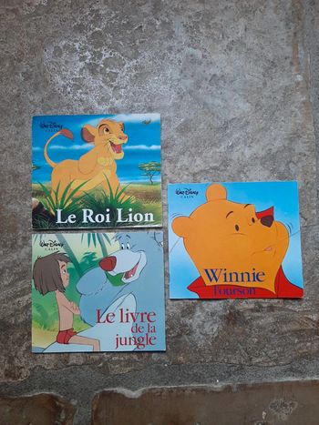 Ensemble 3 livres Disney