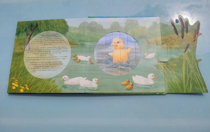 Superbe livre animé de fenêtres magiques, Il pleut petit canard.. Quatre fleuve - photo numéro 10