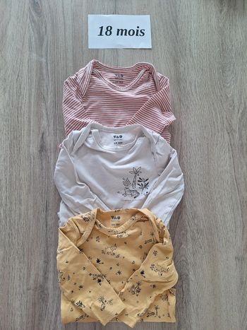 Lot de 3 bodies tape a l'œil 18 mois