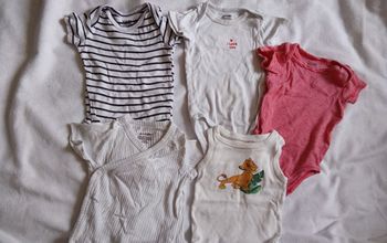 Lot bodies 6M