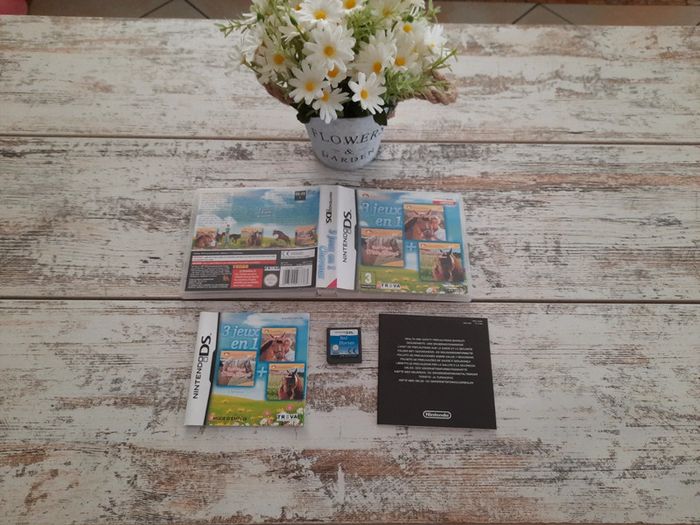 3 jeux en 1 Ds cheval - photo numéro 3