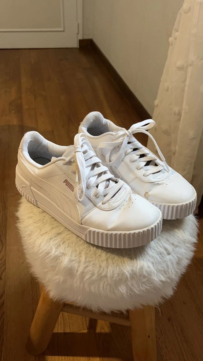 Paire puma