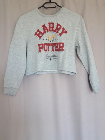 Sweat court Harry Potter
